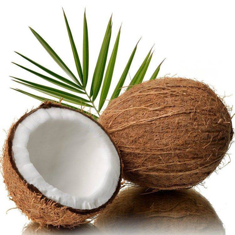源頭好貨 山東福椰子食品20kg桶裝食用椰子油及氫化椰子油批發(fā)指南