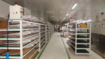 響應一帶一路倡議，燈具塑件企業積極拓展海外市場