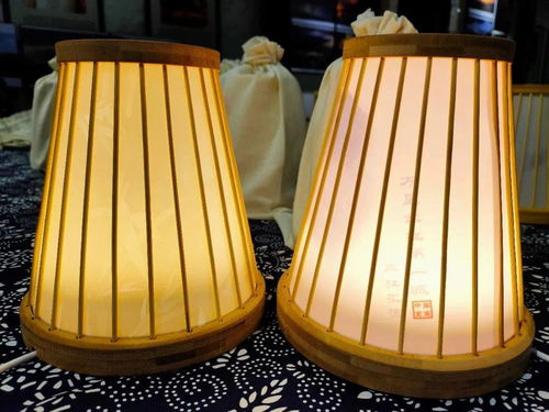 宜賓造智能竹燈發布 科技文創產品新玩法，燈具塑件引領未來