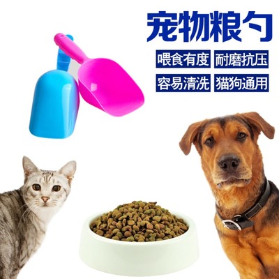 寵物糧鏟選購指南 從使用到清潔，一次性說清楚